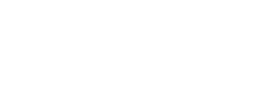 logo brusk